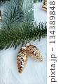 pine branches with red berries 134389848