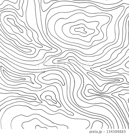 Abstract contour line background. Modern topographic pattern with organic curves and wavy lines. Minimal black and white vector texture perfect for posters, packaging, branding, and surface design. 134389883