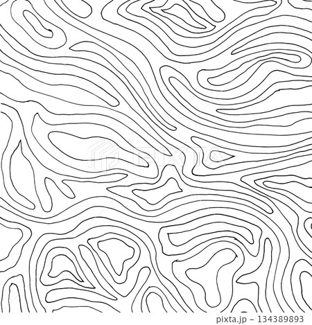 Abstract contour line background. Modern topographic pattern with organic curves and wavy lines. Minimal black and white vector texture perfect for posters, packaging, branding, and surface design. 134389893