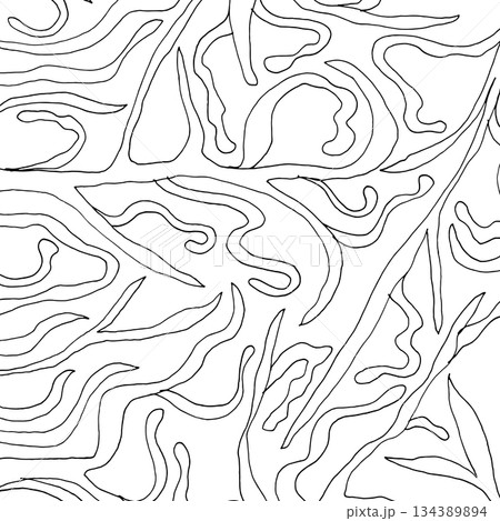 Abstract contour line background. Modern topographic pattern with organic curves and wavy lines. Minimal black and white vector texture perfect for posters, packaging, branding, and surface design. 134389894