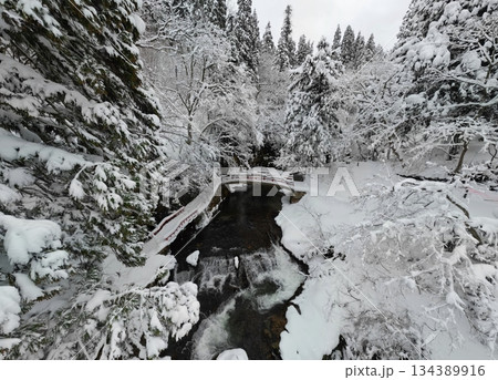 白銀の滝の雪景色 白銀の滝の雪景色 134389916
