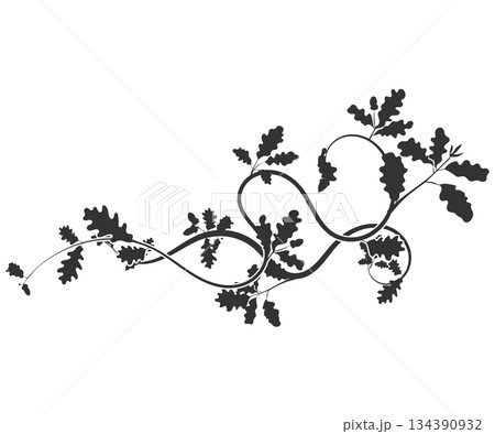 Beautiful oak weaving pattern element new vector 134390932