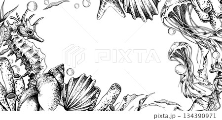 Seahorse and jellyfish in an underwater world line art drawing, hand drawn illustration for marine life and ocean concept. Horizontal template frame outline graphic illustration 134390971