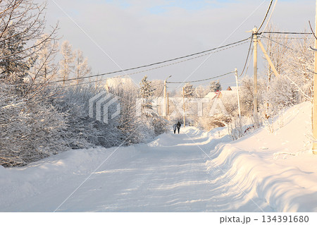 Russian village in winter, Christmas background. After a snowfall, tree branches are covered with snow and sparkle in the sun, in severe frost and low temperatures. Russian village in winter, Christmas background. After a snowfall, tree branches are covered with snow and sparkle in the sun, in severe frost and low temperatures. 134391680