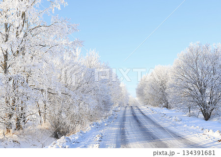 Russian nature in winter, Christmas background. After a snowfall, tree branches are covered with snow and sparkle in the sun, severe frost and low temperatures. 134391681