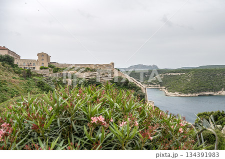 Aerial view marina cape Bonifacio south Corsica France citadel on rocky promontory on wild white limestone cliffs 134391983
