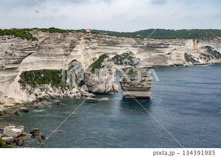 Aerial view marina cape Bonifacio south Corsica France citadel on rocky promontory on wild white limestone cliffs 134391985