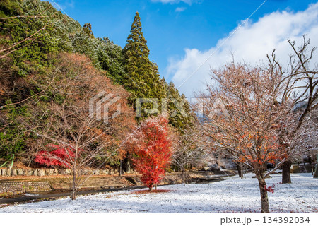 雨情公園 下呂温泉 《岐阜県 下呂市》 雨情公園 下呂温泉 《岐阜県 下呂市》 134392034
