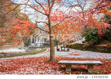 雨情公園 下呂温泉 《岐阜県 下呂市》 雨情公園 下呂温泉 《岐阜県 下呂市》 134392036