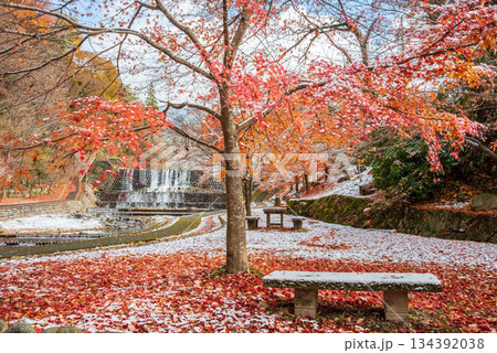 雨情公園 下呂温泉 《岐阜県 下呂市》 雨情公園 下呂温泉 《岐阜県 下呂市》 134392038