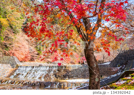 雨情公園 下呂温泉 《岐阜県 下呂市》 雨情公園 下呂温泉 《岐阜県 下呂市》 134392042