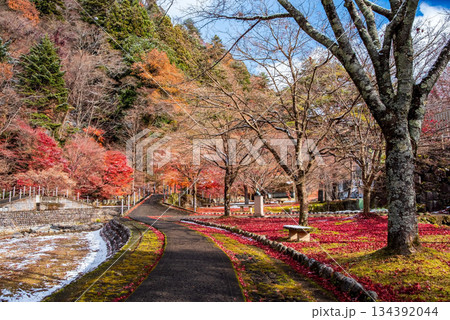 雨情公園 下呂温泉 《岐阜県 下呂市》 雨情公園 下呂温泉 《岐阜県 下呂市》 134392044