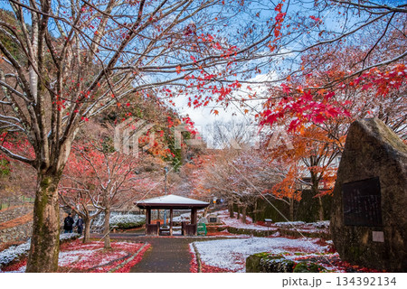 雨情公園 下呂温泉 《岐阜県 下呂市》 134392134