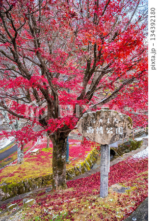 雨情公園 下呂温泉 《岐阜県 下呂市》 134392180