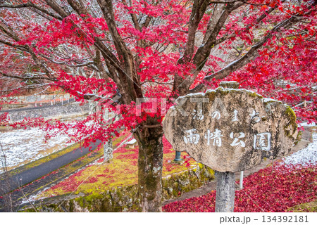 雨情公園 下呂温泉 《岐阜県 下呂市》 134392181