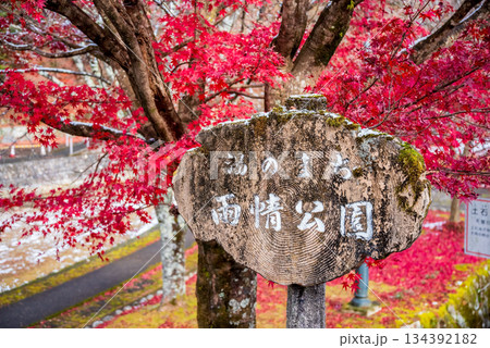 雨情公園 下呂温泉 《岐阜県 下呂市》 雨情公園 下呂温泉 《岐阜県 下呂市》 134392182