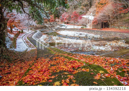 雨情公園 下呂温泉 《岐阜県 下呂市》 雨情公園 下呂温泉 《岐阜県 下呂市》 134392218