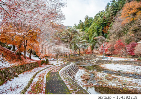 雨情公園 下呂温泉 《岐阜県 下呂市》 雨情公園 下呂温泉 《岐阜県 下呂市》 134392219