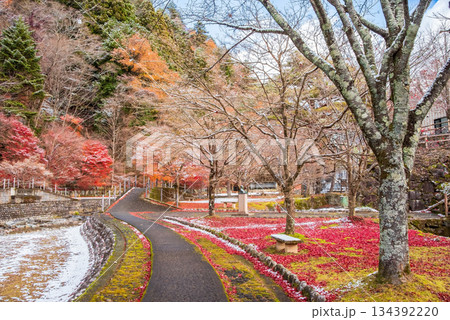 雨情公園 下呂温泉 《岐阜県 下呂市》 雨情公園 下呂温泉 《岐阜県 下呂市》 134392220