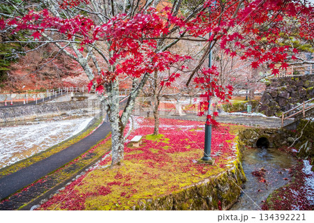 雨情公園 下呂温泉 《岐阜県 下呂市》 雨情公園 下呂温泉 《岐阜県 下呂市》 134392221