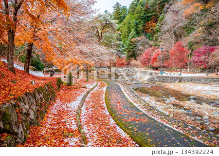 雨情公園 下呂温泉 《岐阜県 下呂市》 134392224