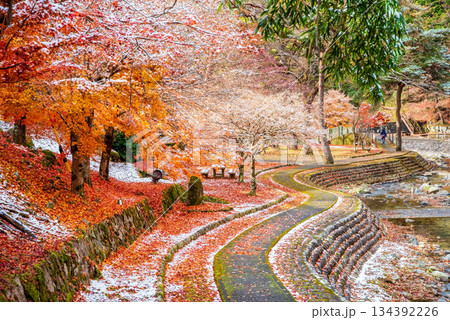 雨情公園 下呂温泉 《岐阜県 下呂市》 134392226