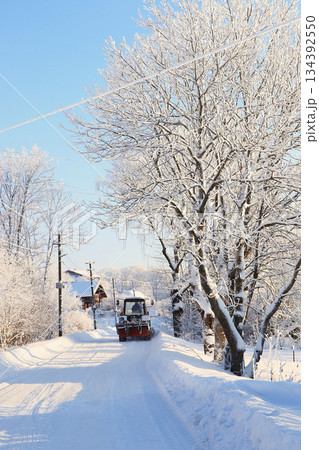 Russian nature in winter, Christmas background. After a snowfall, tree branches are covered with snow and sparkle in the sun, severe frost and low temperatures 134392550