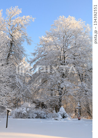 Russian village in winter After a snowfall, the branches of the trees are covered with snow and sparkle in the sun. This is a beautiful winter background 134392551