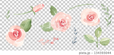 Watercolor rose and floral elements for Valentine and wedding design. Ideal for romantic card, love invitation, beauty branding, social media and elegant decor. 134393044