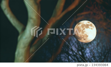 Mischief Night Brings a Glowing Full Moon Over Dark Trees in a Spooky Atmosphere Mischief Night Brings a Glowing Full Moon Over Dark Trees in a Spooky Atmosphere 134393064