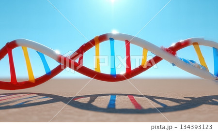 DNA Helix Model Casting a Colorful Shadow on Minimal Sandy Surface Under Bright Sunlight DNA Helix Model Casting a Colorful Shadow on Minimal Sandy Surface Under Bright Sunlight 134393123