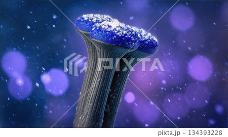 Hiking Poles With Snow Covered Tips Ready for Winter Adventure on a Snowy Trail Hiking Poles With Snow Covered Tips Ready for Winter Adventure on a Snowy Trail 134393228