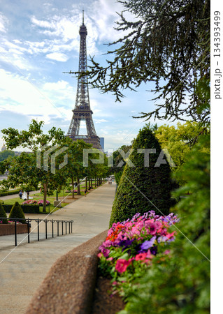 Eiffel Tower view from park with garden path in Paris Eiffel Tower view from park with garden path in Paris 134393499