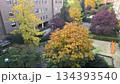 Vibrant autumn colors in urban courtyard setting for seasonal inspiration 134393540