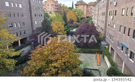 Urban autumn landscape with vibrant foliage amidst city buildings for seasonal design Urban autumn landscape with vibrant foliage amidst city buildings for seasonal design 134393542