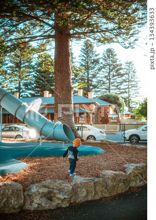 Child Playtime at a Park Slide Surrounded by Nature and Homes Child Playtime at a Park Slide Surrounded by Nature and Homes 134393633