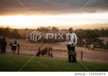 Serene Sunset Over Rolling Hills with Cows and Figures in the Background Serene Sunset Over Rolling Hills with Cows and Figures in the Background 134393674