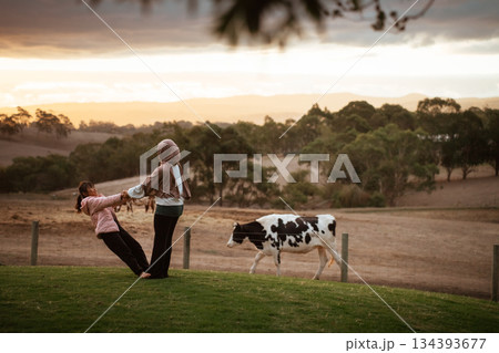 Enjoying a Serene Sunset with Friends and a Cow on the Beautiful Farm Enjoying a Serene Sunset with Friends and a Cow on the Beautiful Farm 134393677