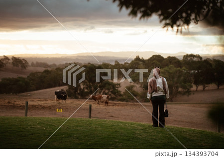Serene Landscape with a Figure Walking Through a Rural Setting Serene Landscape with a Figure Walking Through a Rural Setting 134393704