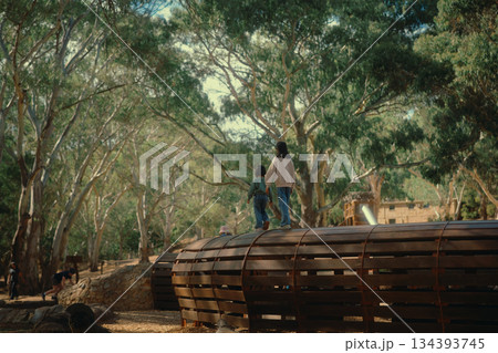 Children Playing on Structure Surrounded by Lush Green Trees Children Playing on Structure Surrounded by Lush Green Trees 134393745