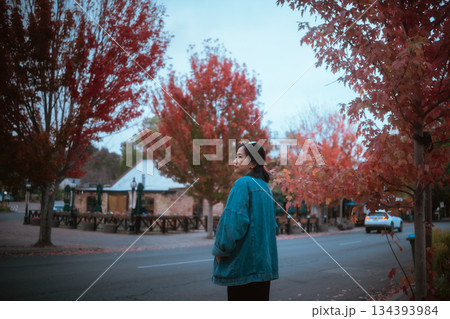 Enjoying a Serene Autumn Stroll Through a Colorful and Picturesque Park Enjoying a Serene Autumn Stroll Through a Colorful and Picturesque Park 134393984