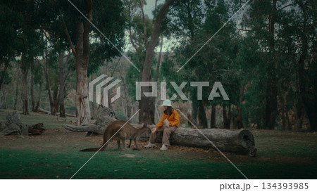 A Person Enjoying Interaction with a Kangaroo in the Beautiful Natural Setting of Australia A Person Enjoying Interaction with a Kangaroo in the Beautiful Natural Setting of Australia 134393985