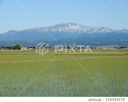 月山 日本百名山 山形県 出羽三山 134394270