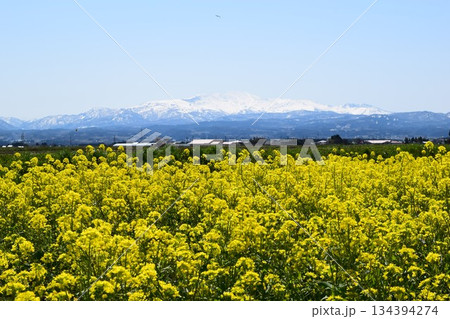 月山 日本百名山 山形県 出羽三山 134394274