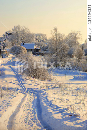 Russian nature in winter, Christmas background. After a snowfall, tree branches are covered with snow and sparkle in the sun, severe frost and low temperatures. 134394321