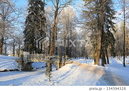 Russian village in winter After a snowfall, the branches of the trees are covered with snow and sparkle in the sun. This is a beautiful winter background 134394328