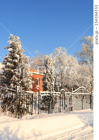 Winter house in the countryside with snow-covered fir trees and snowdrifts. The beauty of the winter season for travel in extreme conditions. A beautiful winter invitation card for tourists 134394333