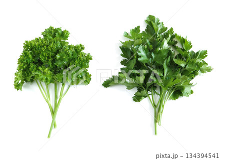 Fresh curly and flat-leaf parsley bunches isolated on white background, showcasing culinary herbs for healthy cooking, nutrition. Fresh curly and flat-leaf parsley bunches isolated on white background, showcasing culinary herbs for healthy cooking, nutrition. 134394541