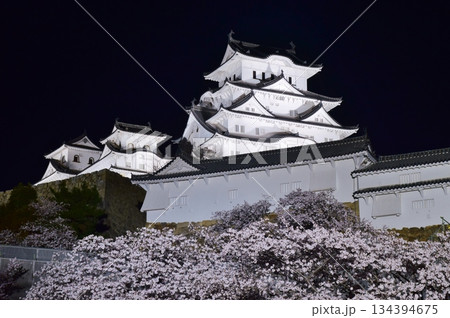 姫路城　春のライトアップ 134394675
