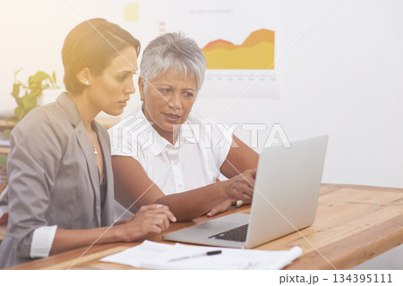 Planning, teamwork and business women on laptop for digital analytics, data analysis or review online report. Professional people reading results on computer with focus, solution or problem solving Planning, teamwork and business women on laptop for digital analytics, data analysis or review online report. Professional people reading results on computer with focus, solution or problem solving 134395111